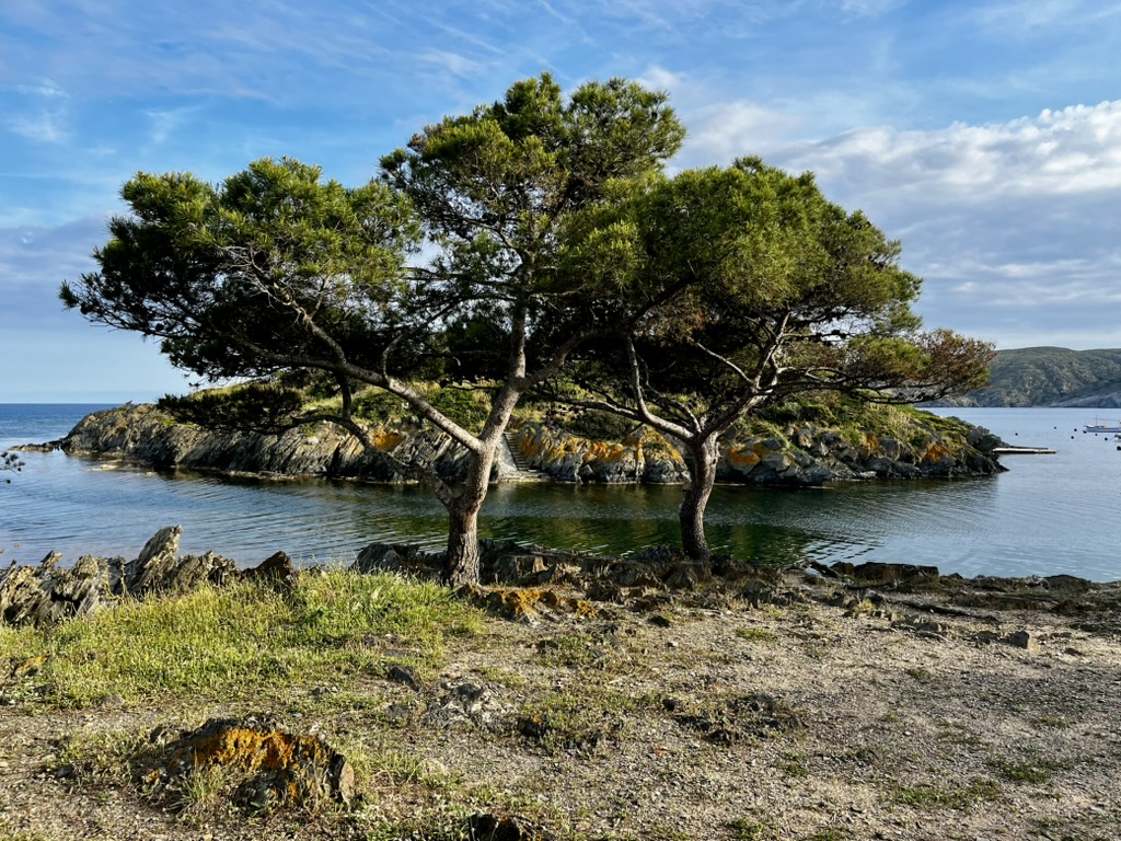 Carrer de Sestrop View